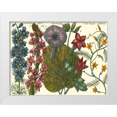 Printed Arena Botanical IV White Modern Wood Framed Art Print by Vision Studio