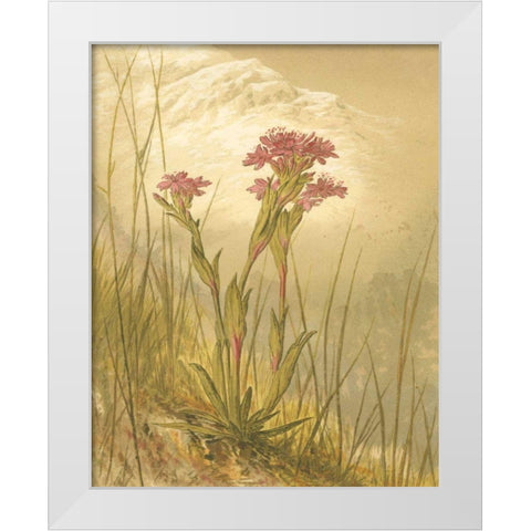 Alpine Florals II White Modern Wood Framed Art Print by Vision Studio