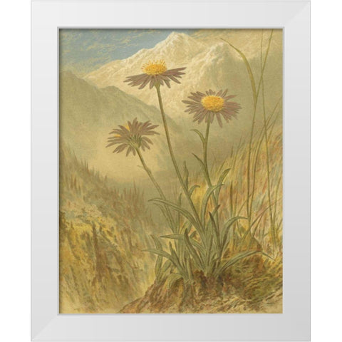 Alpine Florals III White Modern Wood Framed Art Print by Vision Studio