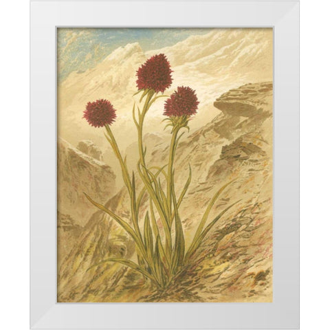 Alpine Florals IV White Modern Wood Framed Art Print by Vision Studio