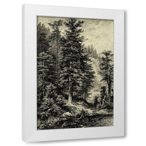 Noble Fir White Modern Wood Framed Art Print by Heyn, Ernst