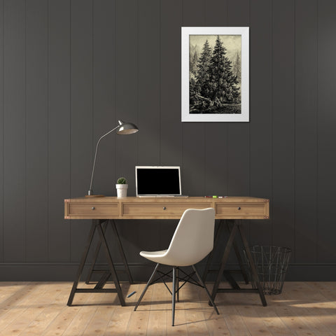 Spruce Pine White Modern Wood Framed Art Print by Heyn, Ernst