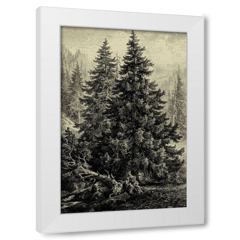 Spruce Pine White Modern Wood Framed Art Print by Heyn, Ernst