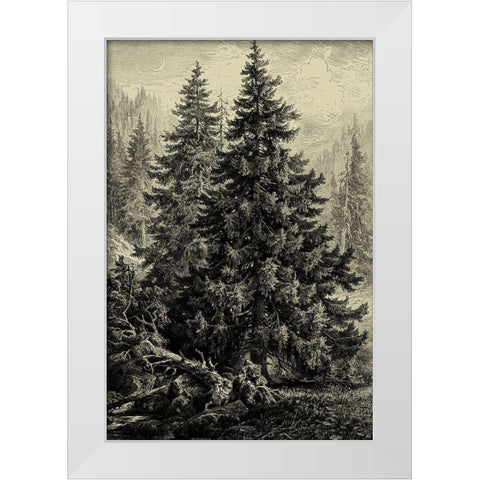 Spruce Pine White Modern Wood Framed Art Print by Heyn, Ernst