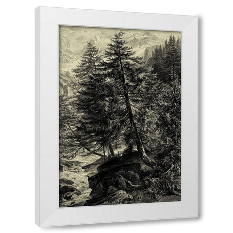 Larch Tree White Modern Wood Framed Art Print by Heyn, Ernst