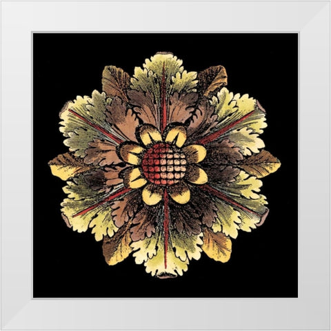 Rosette on Black I White Modern Wood Framed Art Print by Antonini, Da Carlo