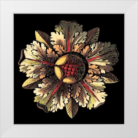Rosette on Black III White Modern Wood Framed Art Print by Antonini, Da Carlo