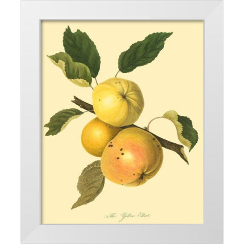 The Yellow Elliot White Modern Wood Framed Art Print by Unknown