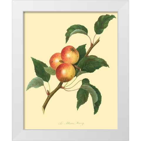 The Siberian Harvey White Modern Wood Framed Art Print by Unknown