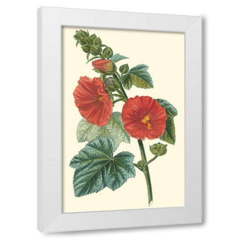 Crimson Beauty II White Modern Wood Framed Art Print by Turpin