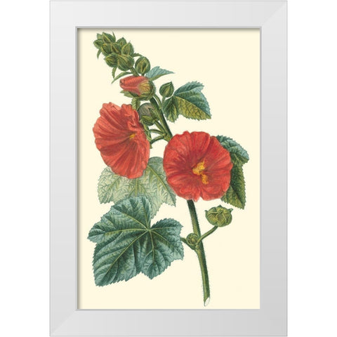 Crimson Beauty II White Modern Wood Framed Art Print by Turpin