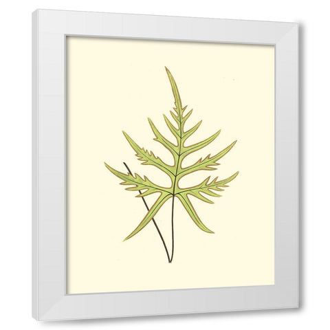 Woodland Ferns IV White Modern Wood Framed Art Print by Lowe, E. J.