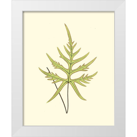Woodland Ferns IV White Modern Wood Framed Art Print by Lowe, E. J.