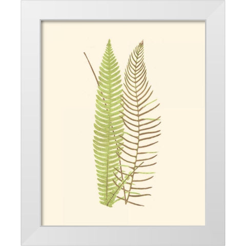 Woodland Ferns V White Modern Wood Framed Art Print by Lowe, E. J.