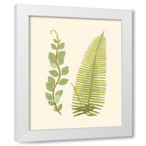 Woodland Ferns VI White Modern Wood Framed Art Print by Lowe, E. J.