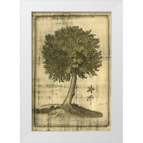 Printed Fruitful Realm I  White Modern Wood Framed Art Print by Vision Studio