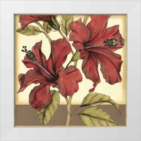 Cropped Sophisticated Hibiscus II White Modern Wood Framed Art Print by Goldberger, Jennifer