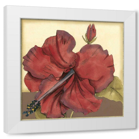 Cropped Sophisticated Hibiscus III  White Modern Wood Framed Art Print by Goldberger, Jennifer