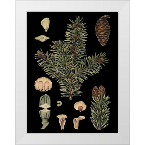 Small Dramatic Conifers I  White Modern Wood Framed Art Print by Vision Studio