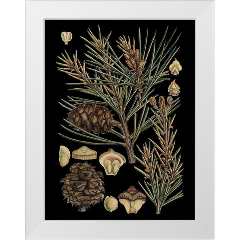 Small Dramatic Conifers II  White Modern Wood Framed Art Print by Vision Studio