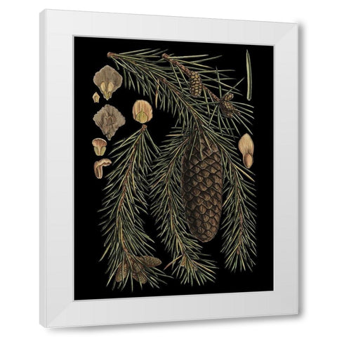 Small Dramatic Conifers III White Modern Wood Framed Art Print by Vision Studio