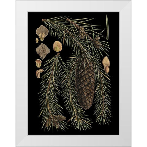 Small Dramatic Conifers III White Modern Wood Framed Art Print by Vision Studio