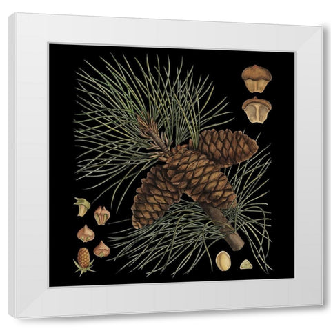 Small Dramatic Conifers V  White Modern Wood Framed Art Print by Vision Studio
