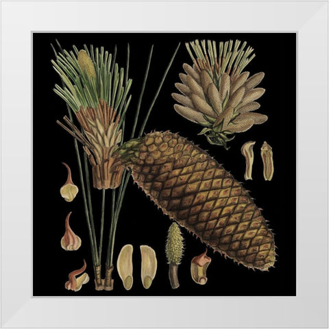 Small Dramatic Conifers VI White Modern Wood Framed Art Print by Vision Studio