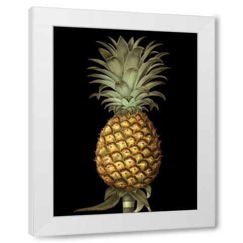 Custom Brookshaw Exotic Pineapple I (CR) White Modern Wood Framed Art Print by Brookshaw, George