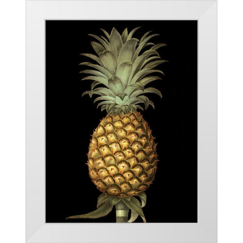 Custom Brookshaw Exotic Pineapple I (CR) White Modern Wood Framed Art Print by Brookshaw, George