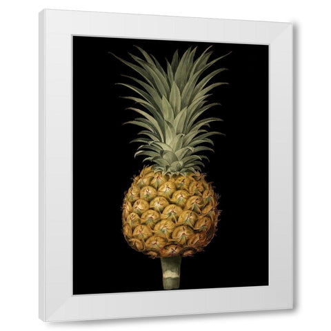 Custom Brookshaw Exotic Pineapple II (CR) White Modern Wood Framed Art Print by Brookshaw, George