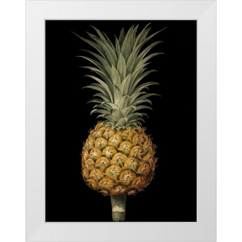 Custom Brookshaw Exotic Pineapple II (CR) White Modern Wood Framed Art Print by Brookshaw, George