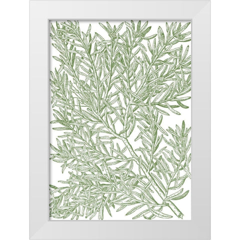 Mossy Branches I White Modern Wood Framed Art Print by du Monceau, Duhamel