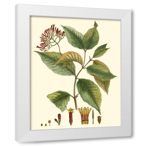 Crimson Botanical I White Modern Wood Framed Art Print by Hierseman