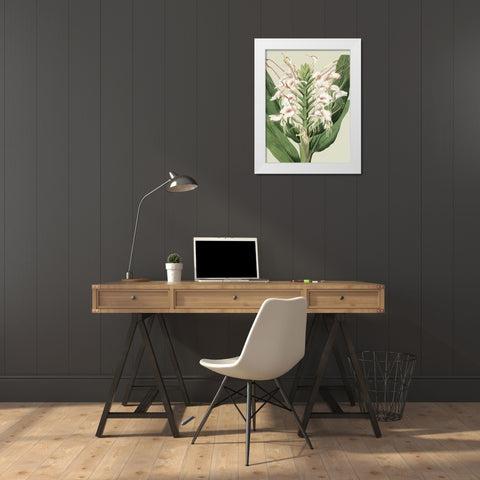 Small Orchid Blooms IV White Modern Wood Framed Art Print by Vision Studio