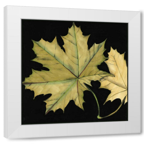 Small Tandem Leaves II White Modern Wood Framed Art Print by Goldberger, Jennifer