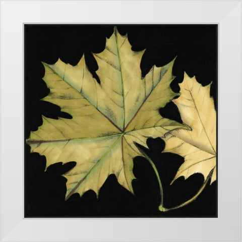 Small Tandem Leaves II White Modern Wood Framed Art Print by Goldberger, Jennifer