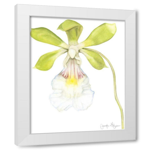 Small Orchid Beauty I White Modern Wood Framed Art Print by Goldberger, Jennifer