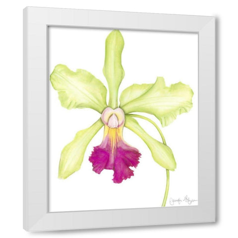 Small Orchid Beauty III White Modern Wood Framed Art Print by Goldberger, Jennifer