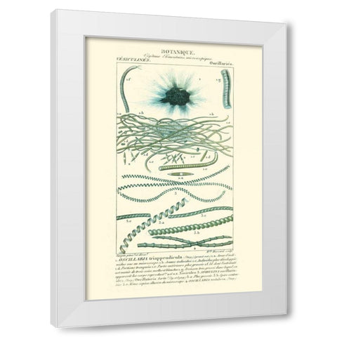 Turpin Botany IV White Modern Wood Framed Art Print by Turpin
