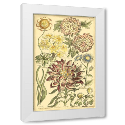 Floral Bounty I White Modern Wood Framed Art Print by Vision Studio