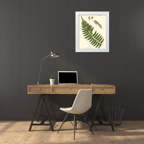 Small Antique Fern V White Modern Wood Framed Art Print by Vision Studio