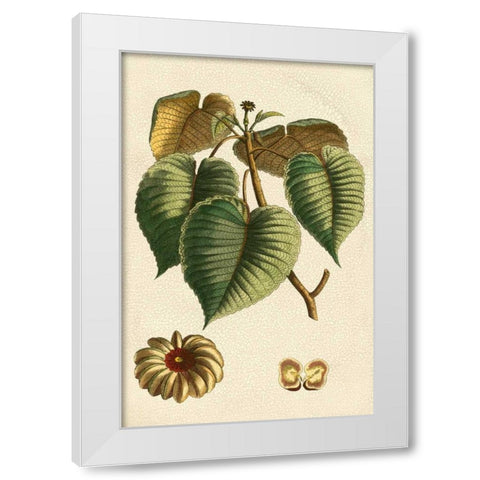 Small Seasonal Foliage I White Modern Wood Framed Art Print by Vision Studio