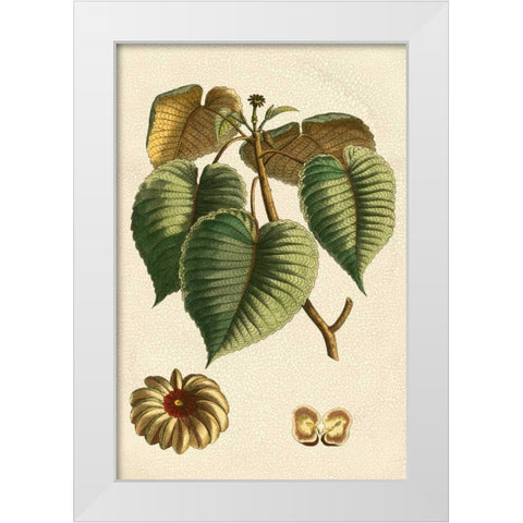 Small Seasonal Foliage I White Modern Wood Framed Art Print by Vision Studio