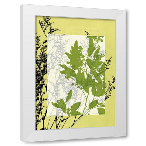 Small Translucent Wildflowers IV White Modern Wood Framed Art Print by Goldberger, Jennifer