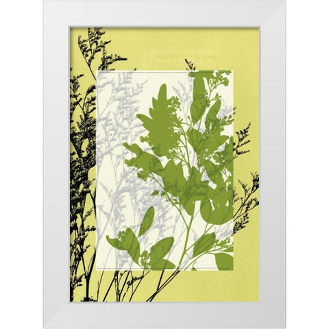 Small Translucent Wildflowers IV White Modern Wood Framed Art Print by Goldberger, Jennifer