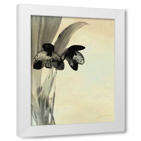 Orchid Blush Panels I White Modern Wood Framed Art Print by Burghardt, James