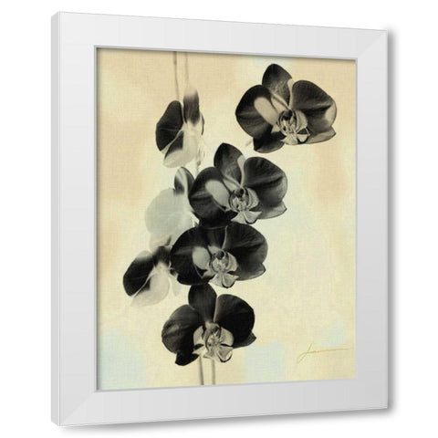 Orchid Blush Panels III White Modern Wood Framed Art Print by Burghardt, James