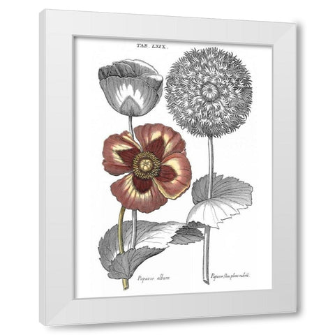 Tinted Floral II White Modern Wood Framed Art Print by Besler, Basilius