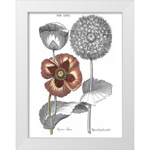 Tinted Floral II White Modern Wood Framed Art Print by Besler, Basilius